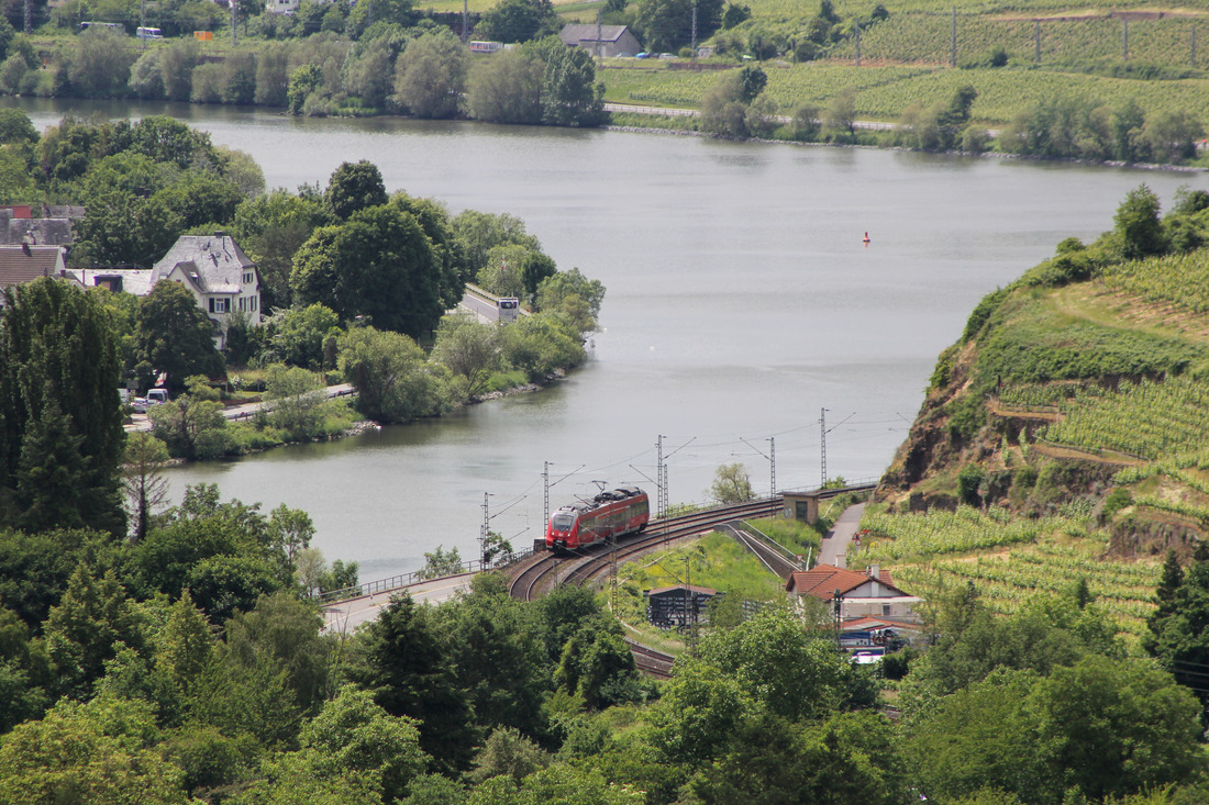 DB Regio 442 xxx // Koblenz // 1. Juni