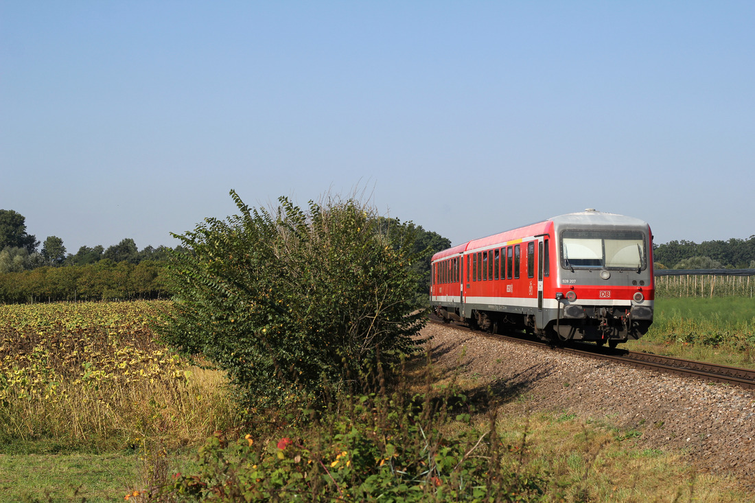 DB Regio 628 207 // Billigheim-Ingenheim // 21. September 2016
