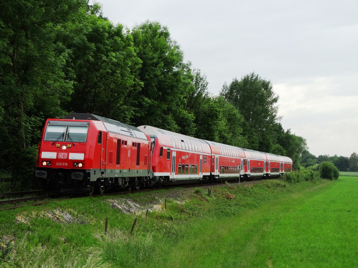 DB Regio Hessen 245 018 am kurz vor Kilianstädten auf der KBS 634 am 29.05.15