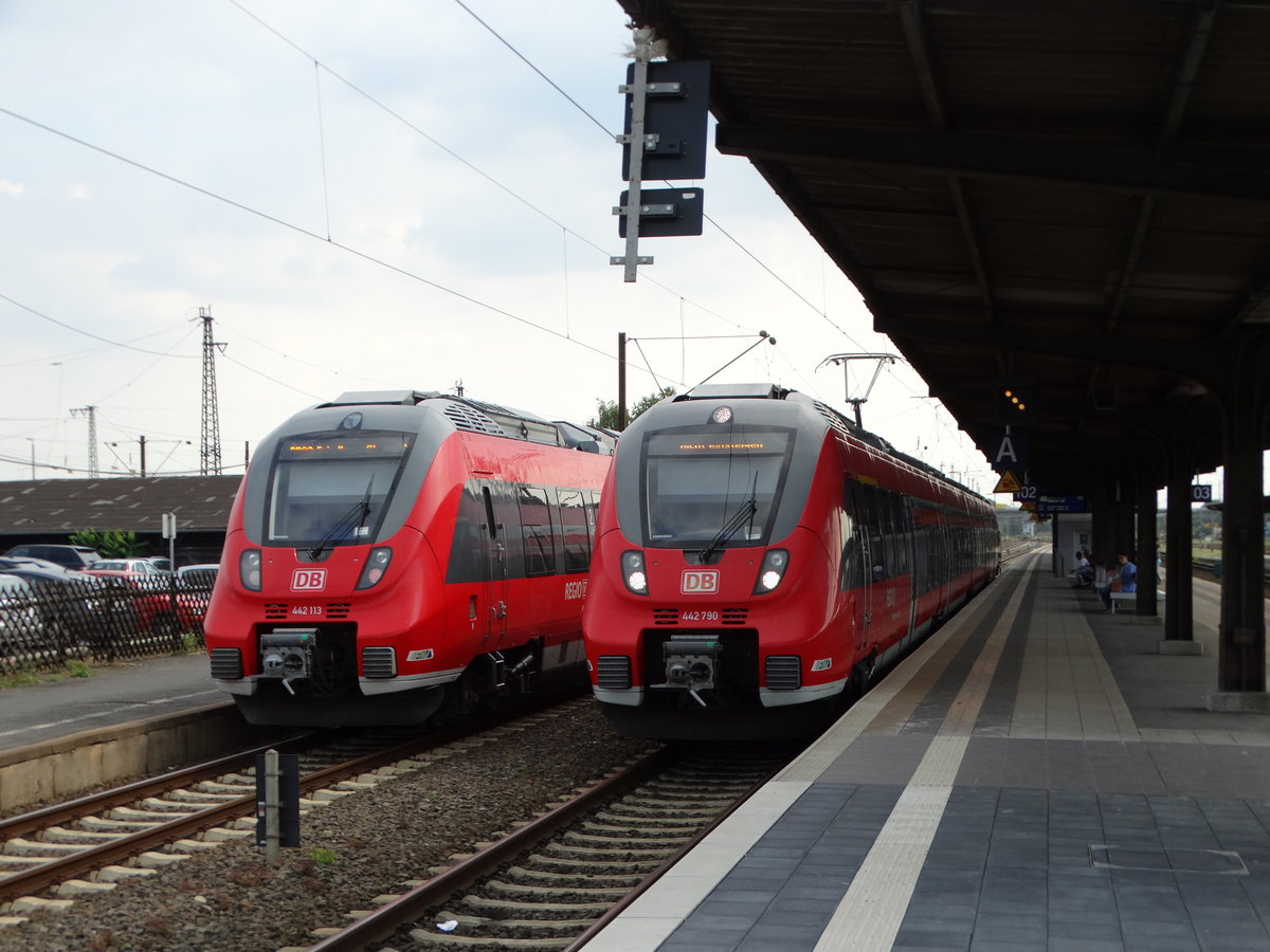 DB Regio Hessen Hamstertreffen am 01.09.16 in Hanau Hbf mit 442 113 und 442 790