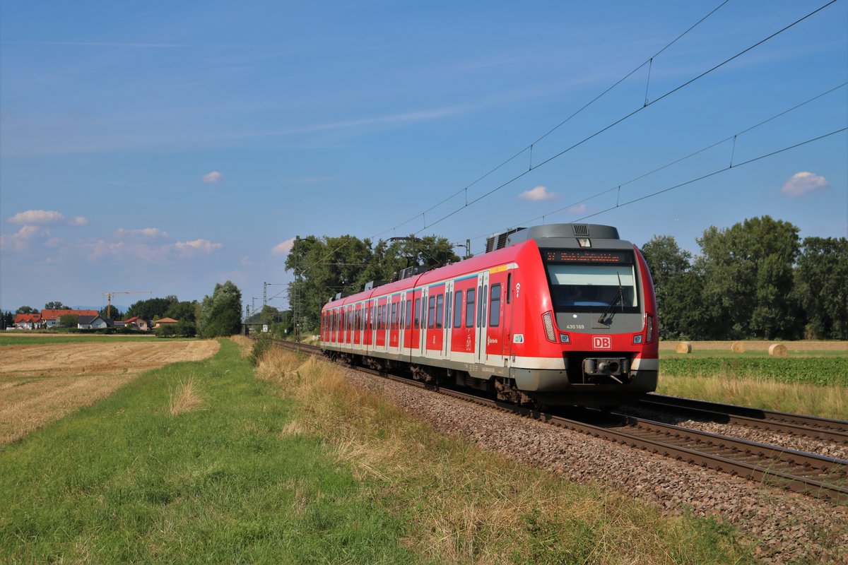 DB Regio Hessen S-Bahn Rhein Main 430 169 am 04.08.19 bei Wolfskehlen