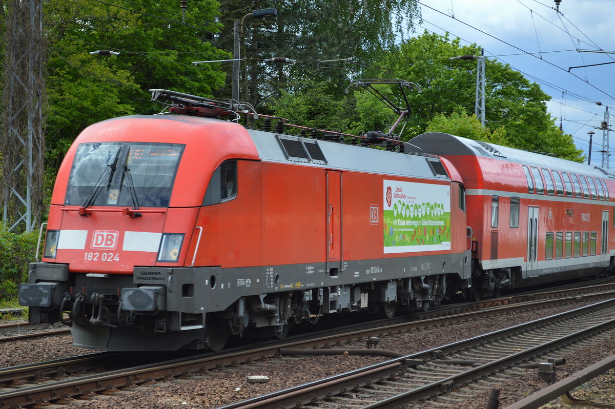 DB Regio mit  182 024  [NVR-Nummer: 91 80 6182 024-0 D-DB] mit der Teil-Werbung für die Landesgartenschau in Wittstock/Dosse 2019 mit dem RE1 nach Frankfurt/Oder am 14.05.19 Berlin-Hirschgarten.