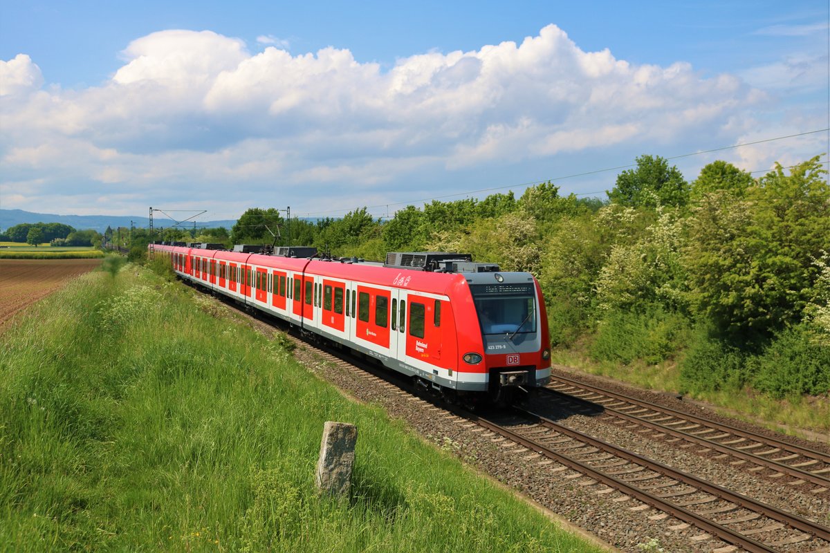 DB Regio S-Bahn München 423 279-9 und 423 xxx bei Nieder Mörlen auf dem Weg in die Heimat am 10.05.20