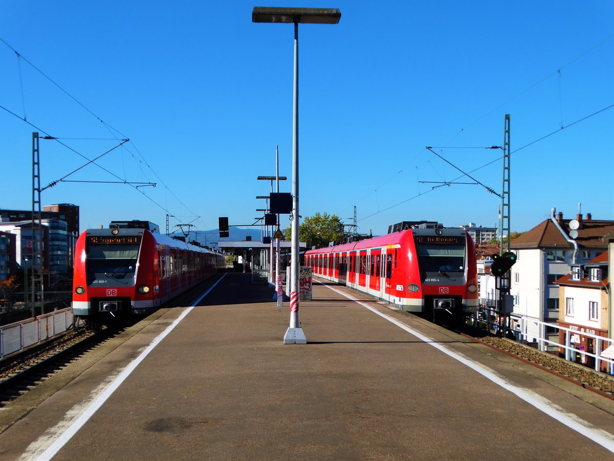 DB Regio S-Bahn Rhein Main 423 909-1 und 423 955-4 am 14.10.17 in Frankfurt am Main Westbahnhof 
