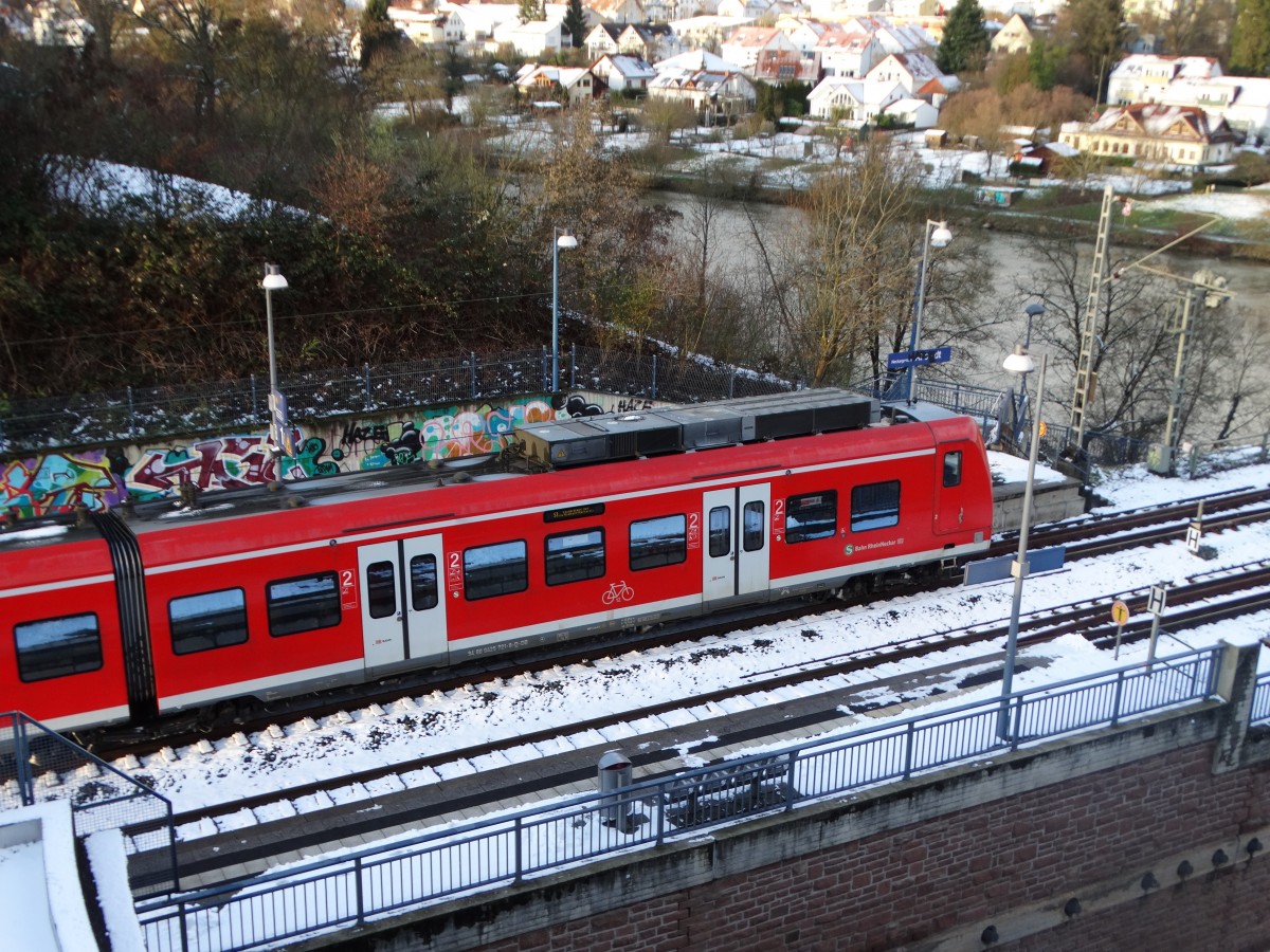 DB Regio S-Bahn Rhein Neckar 425 721-8 am 17.01.16 in Neckargemünd vom einen Gehweg aus fotografiert