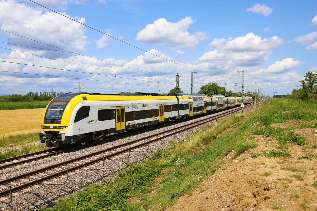 DB Regio Siemens Desiro HC 1462 514-9 und 1462 xxx-x am 13.07.23 bei Auggen (Baden Württemberg)