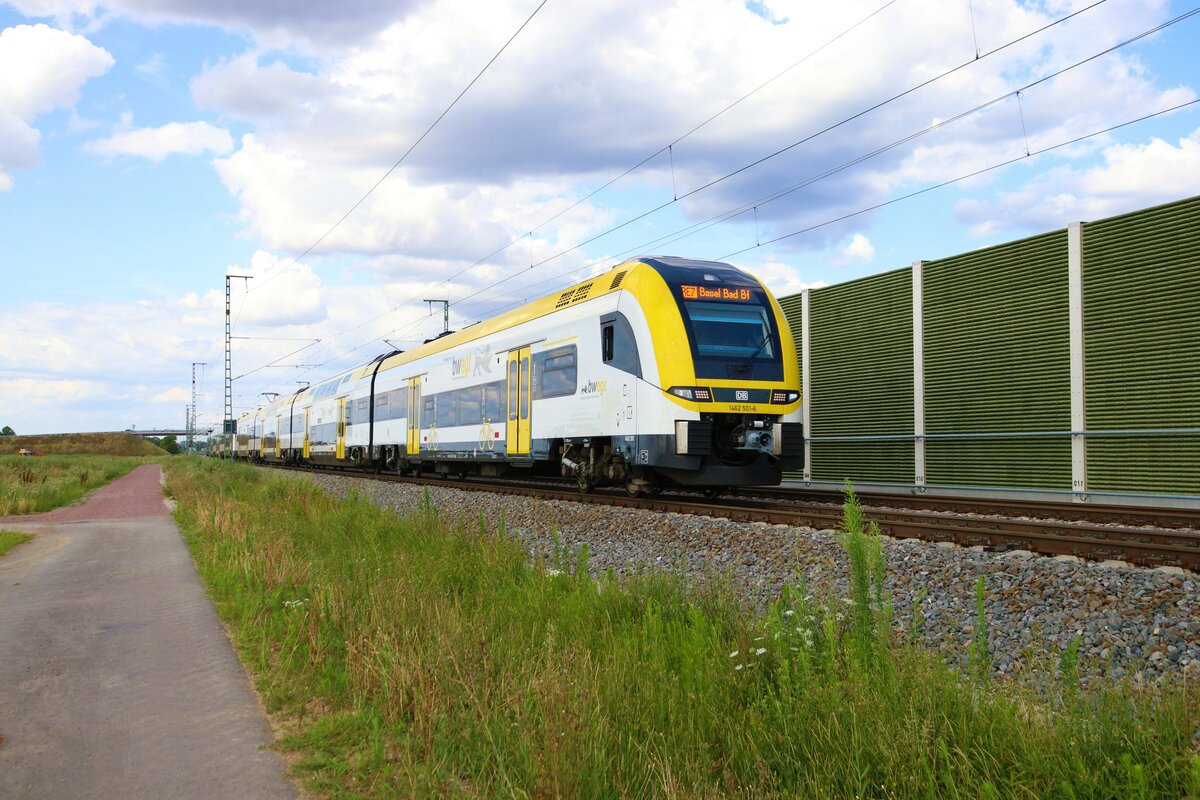 DB Regio Siemens Desiro HC 1462 501-6 am 13.07.23 bei Auggen (Baden Württemberg)
