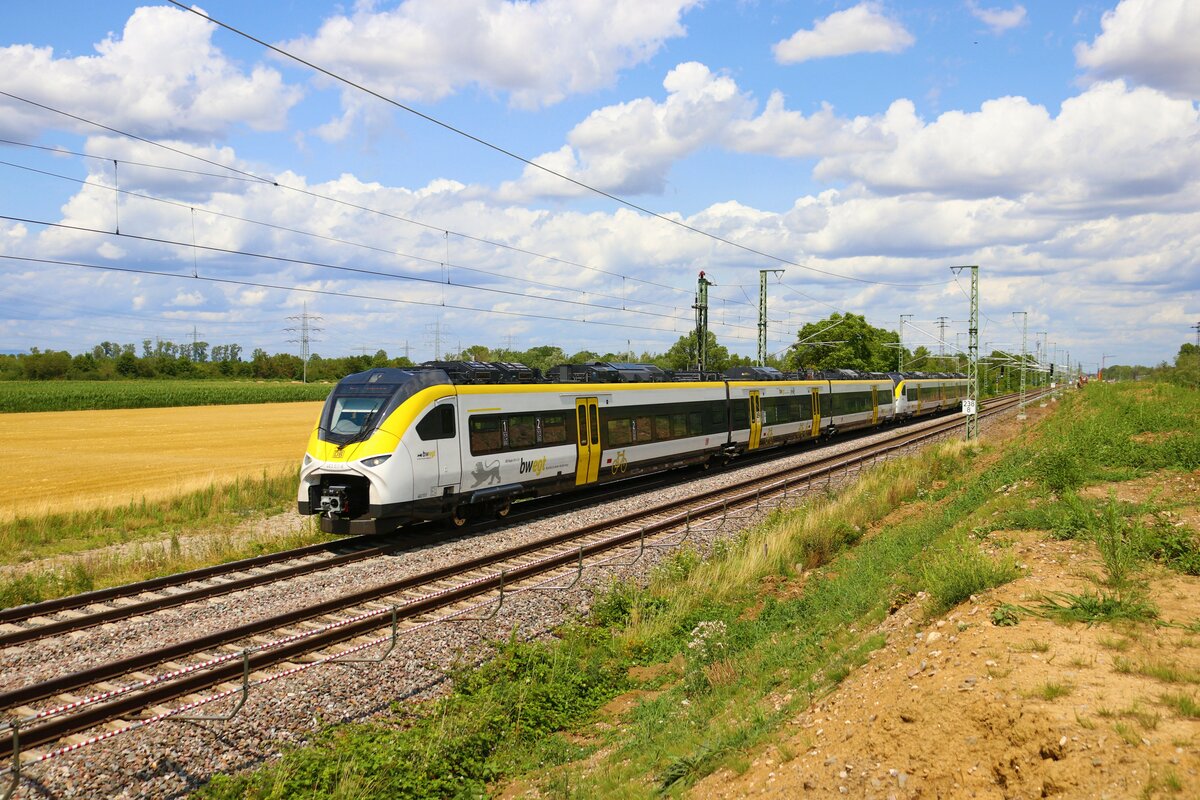 DB Regio Siemens Mireo 463 511-6 und 463 xxx-x am 13.07.23 bei Auggen (Baden Württemberg)