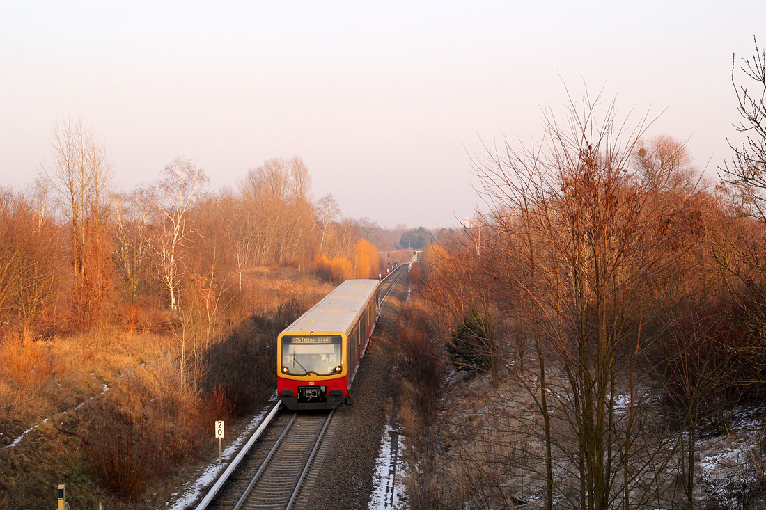 DB (S-Bahn Berlin) 481 xxx // Teltow // 28. januar 2017

