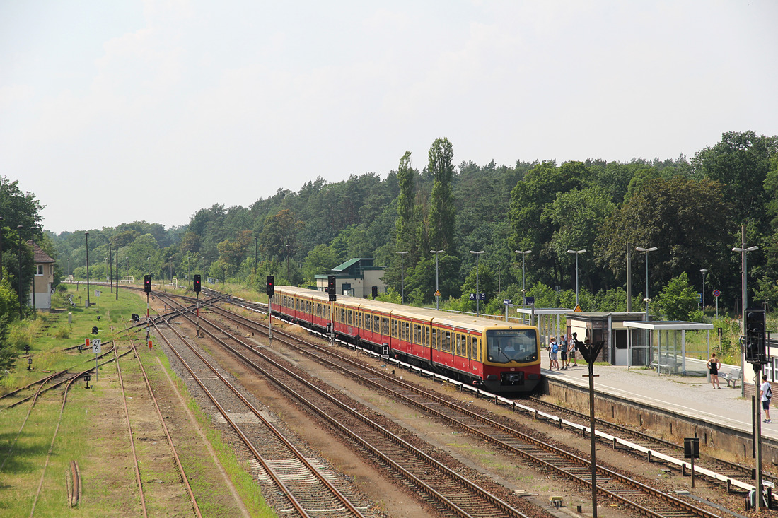 DB (S-Bahn Berlin) 481 xxx // Strausberg // 25. Juni 2016
