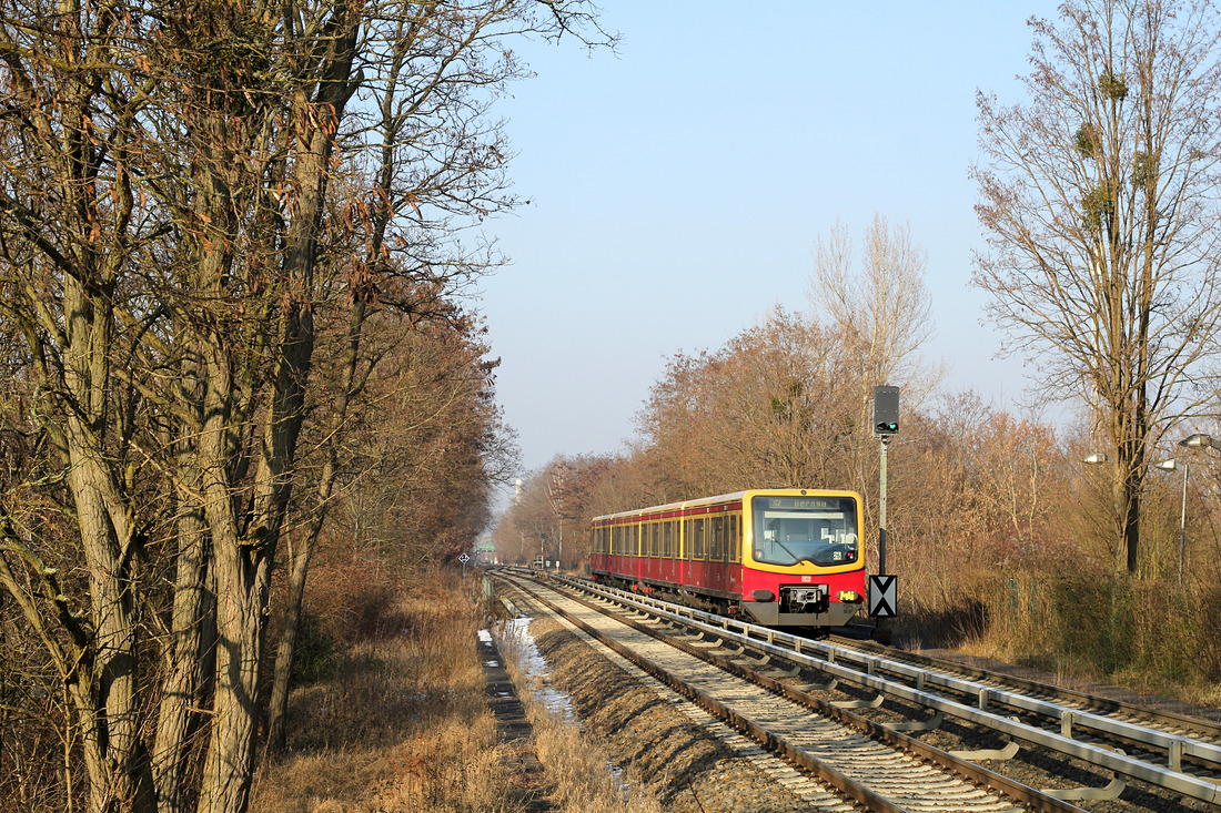 DB (S-Bahn Berlin) 481 xxx // Berlin Schichauweg // 28. Januar 2017