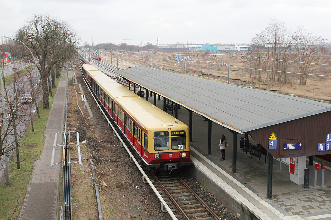 DB (S-Bahn Berlin) 485 xxx // Berlin-Schöneweide Betriebsbahnhof // 22. März 2016
