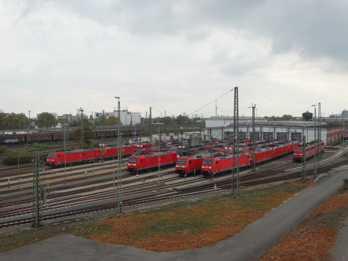 DB Schenker Rail 185er und andere Güterzug Baureihen am 25.10.15 in Mannheim Rbf
