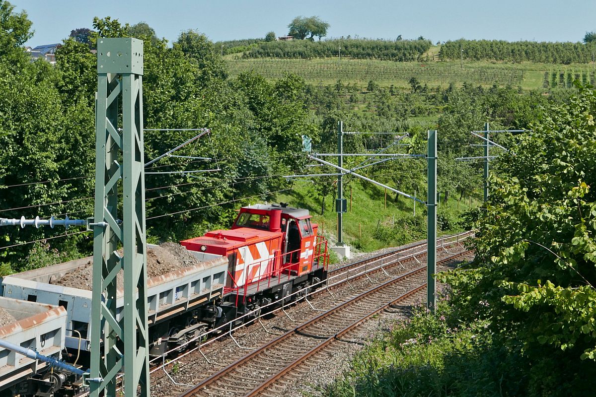 DE81 der RheinCargo (98 80 0272 019-7 D-RHC) zieht am 12.08.2020 bei Bodolz die mit Erdaushub beladenen Schttgutkippwagen zur Entladestelle in der Nhe von Oberreitnau.