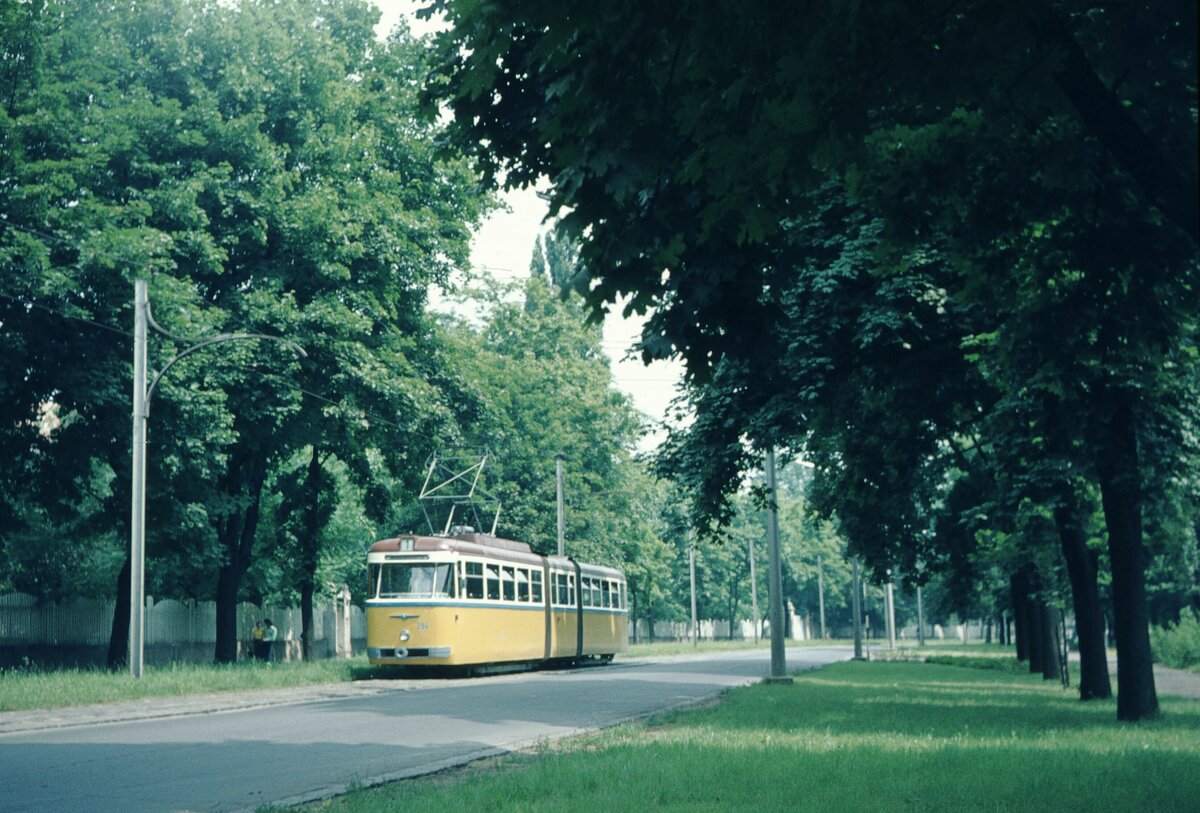 Debrecen_L 1_im Park [3]_20-07-75