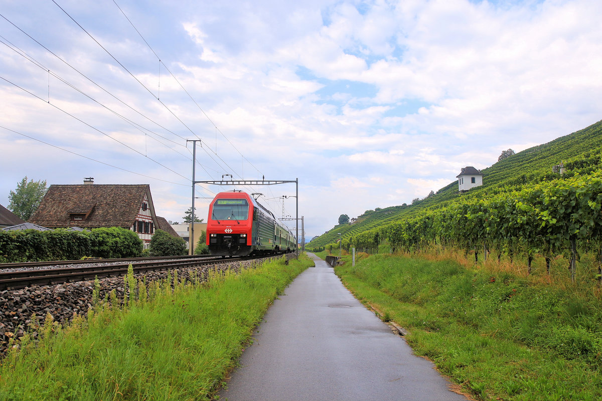 Dem rechten Ufer des Zürichsees entlang erstrecken sich sattgrüne Rebberge - ein Zug der S7 aus Winterthur nähert sich hier der Station Uerikon. Lok 450 054. 6.August 2019 