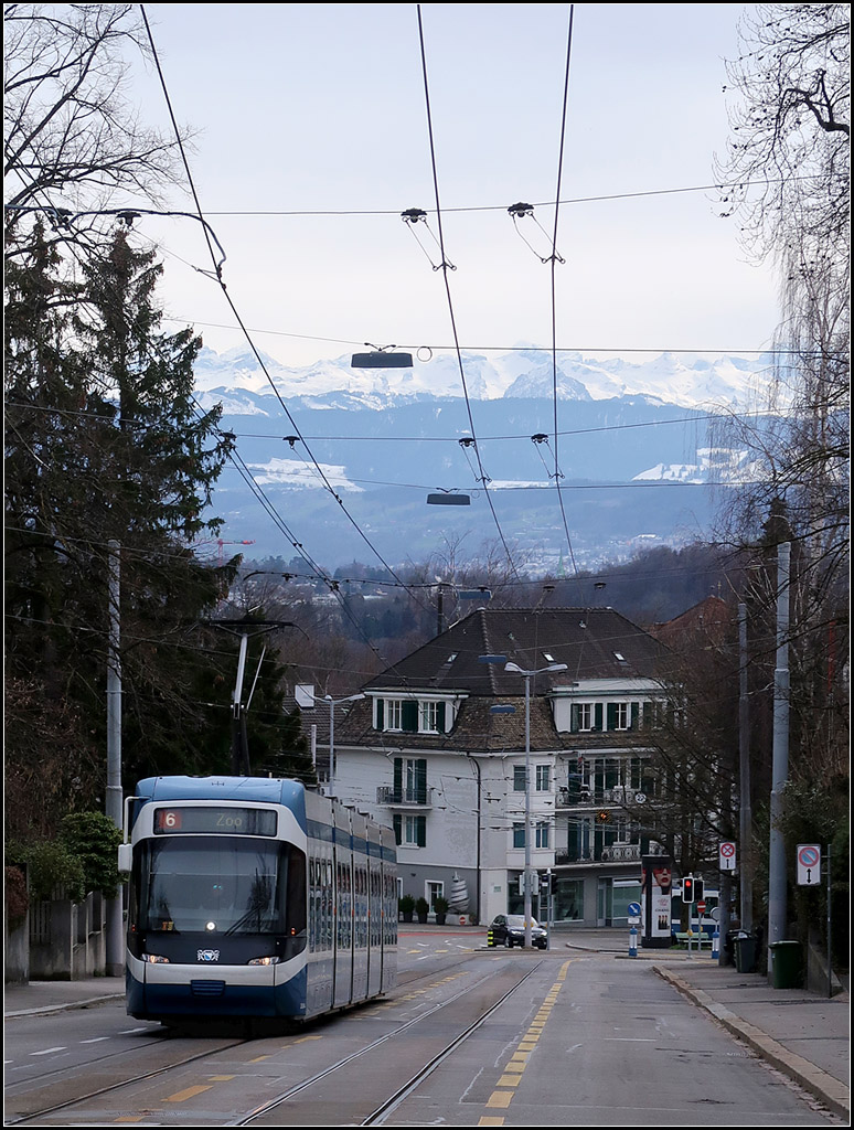 Den Berg hinauf -

... in Richtung Züricher Zoo. Ein Cobra-Tram der Linie 6 in der Kraftstraße kurz vor der Haltestelle Toblerstraße. Parallel fährt hier auch eine Obuslinie, was an den Oberleitungen erkennbar ist.

12.03.2019 (M)