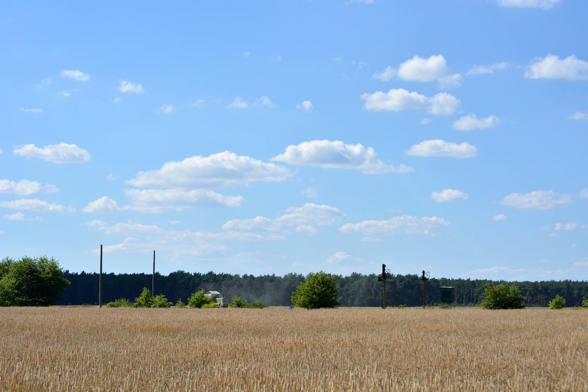 Den Verlauf der Kanonenbahn ließ sich in den Feldern gut verfolgen. Die Masten standen noch zum groß Teil und die alten Signale stehen auch noch. 1992 wurde die Strecke ab Nedlitz bis Güterglück 2 Gleisig ausgebaut und 1 Jahr später elektrifiziert. Nur knapp 10 Jahre später wurde die Strecke stillgelegt und wird teilweise zurück gebaut. 

Nedlitz 20.07.2016

