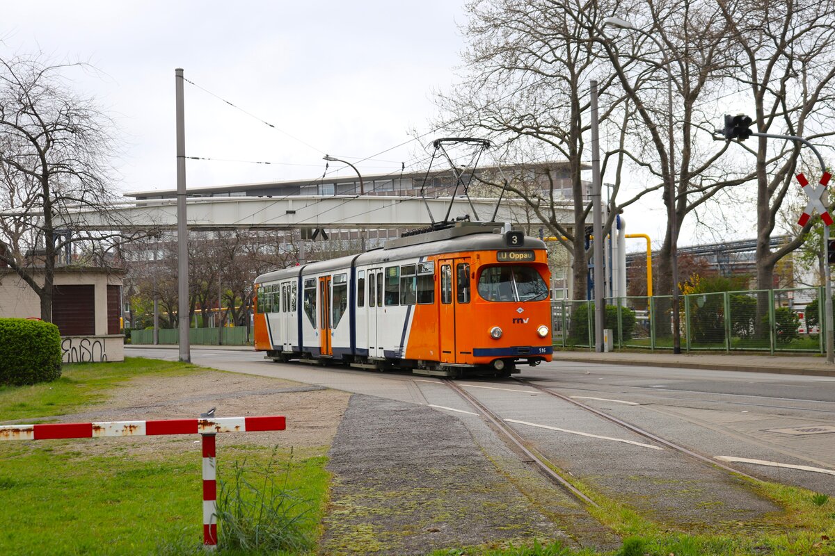 Depot5 Sonderfahrt mit dem RNV Düwag GT8 5516 am 24.03.24 in Mannheim