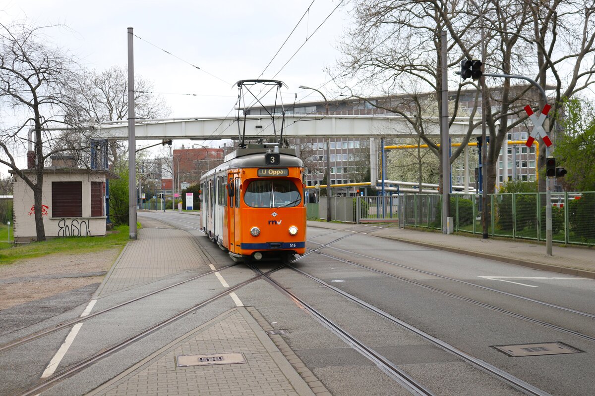 Depot5 Sonderfahrt mit dem RNV Düwag GT8 5516 am 24.03.24 in Mannheim