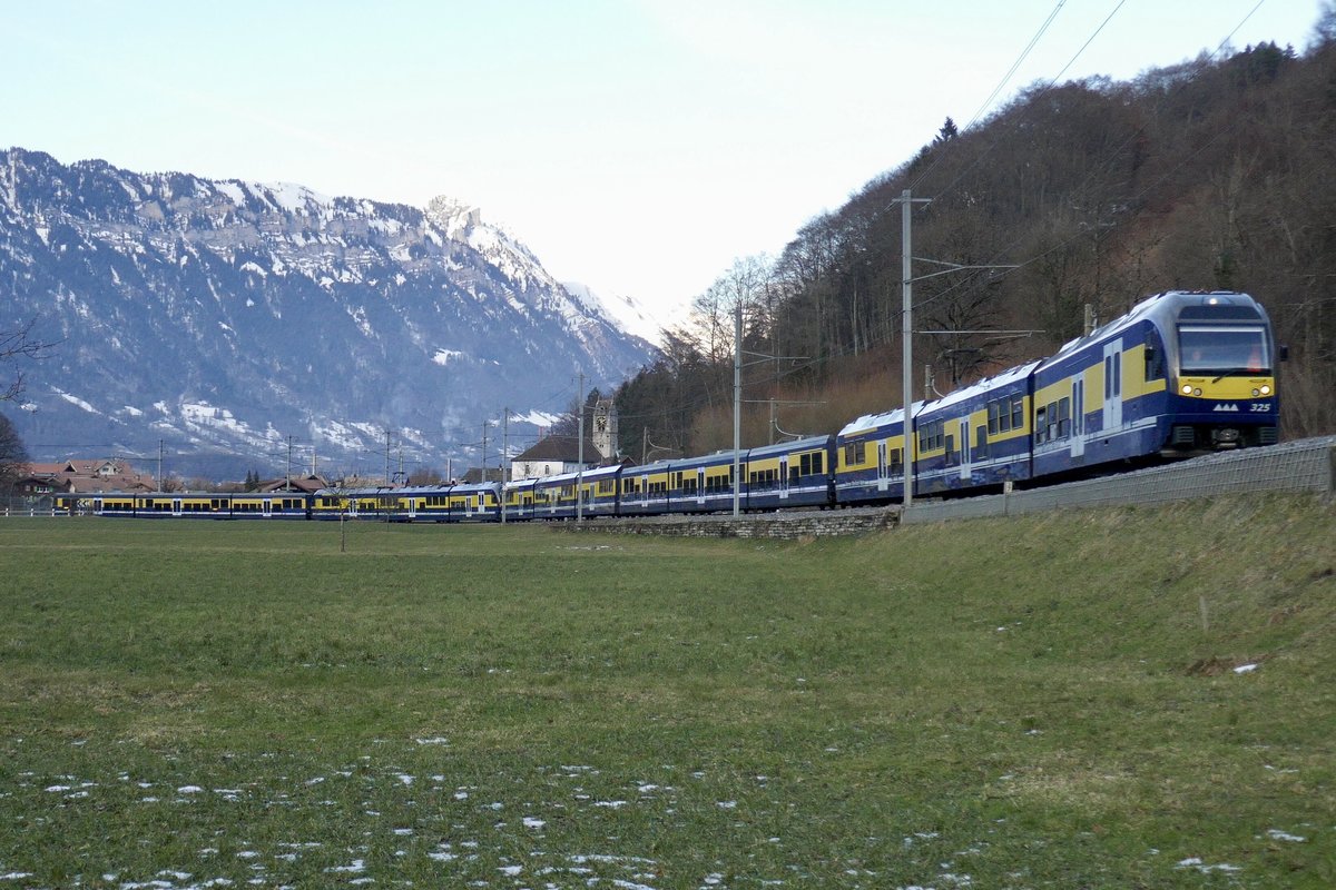 Der 15 Teilige (Zusätlicher GSW) Zug der BOB unterwegs nach Lauterbrunnen und Grindelwald mit dem führenden ABDeh 8/8 325 am 20.1.19 kurz nach Wilderswil.