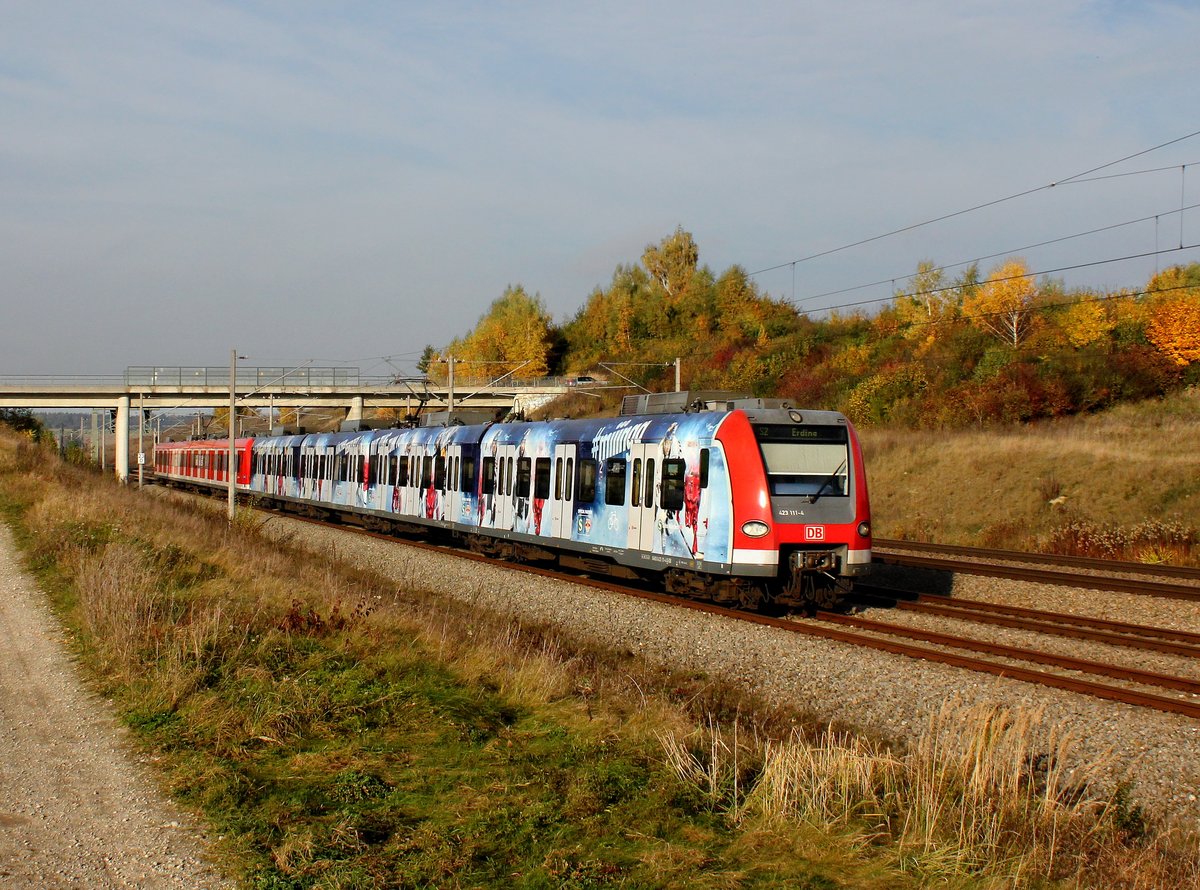Der 423 111 und ein weiterer als S Bahn nach Erding am 28.10.2016 unterwegs bei Hebertshausen.