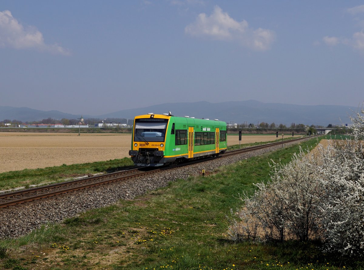 Der 650 654 als WAB nach Plattling am 15.04.2019 unterwegs bei Pankofen.