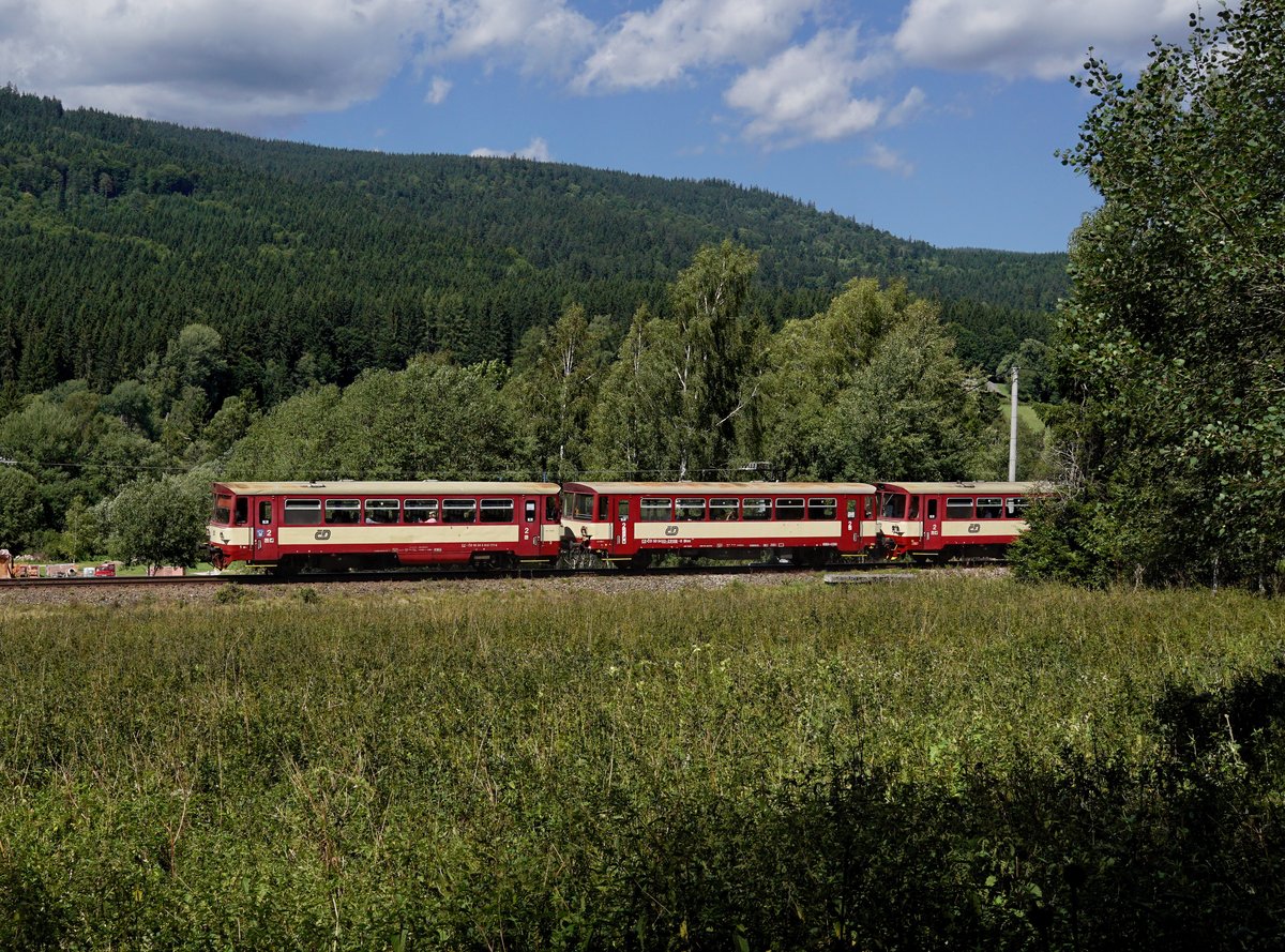 Der 810 177 als Os nach Volary am 15.08.2017 unterwegs bei Zátoň.