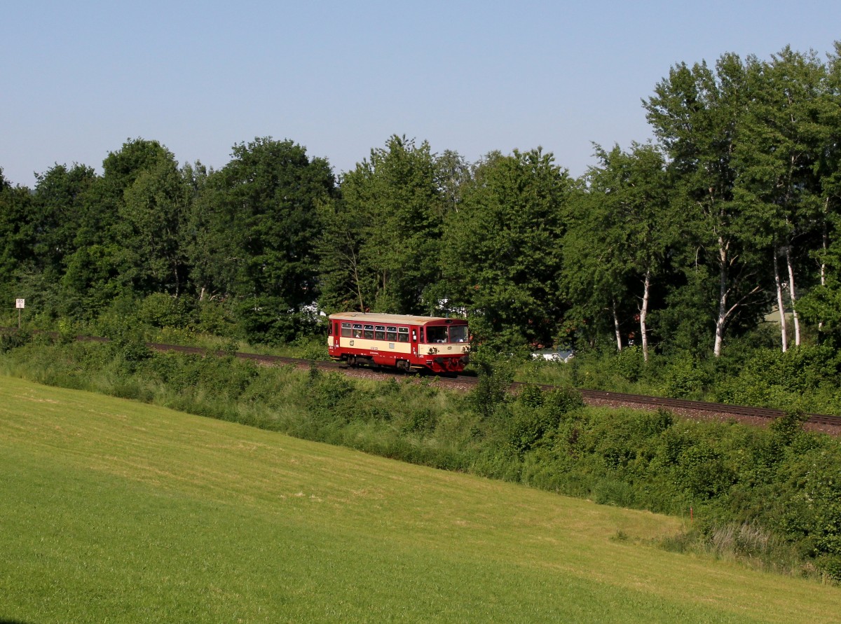 Der 810 369 als Os nach Furth im Wald am 07.06.2014 unterwegs bei Klöpflesberg.