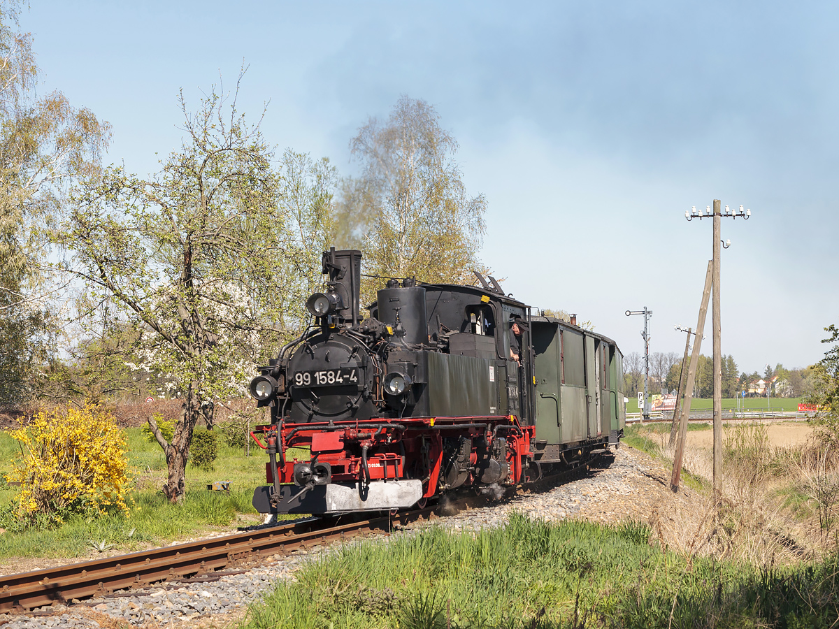 Der 99 1584-4 mit Osterzug kommt im Bahnhof Mügeln am 21. April 2019.