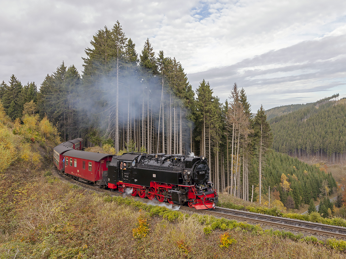 Der 99 236 mit Planzug zum Brocken im die Windbruchstelle am Drängetal kurz vor Drei Annen Hohne am 21. Oktober 2017.