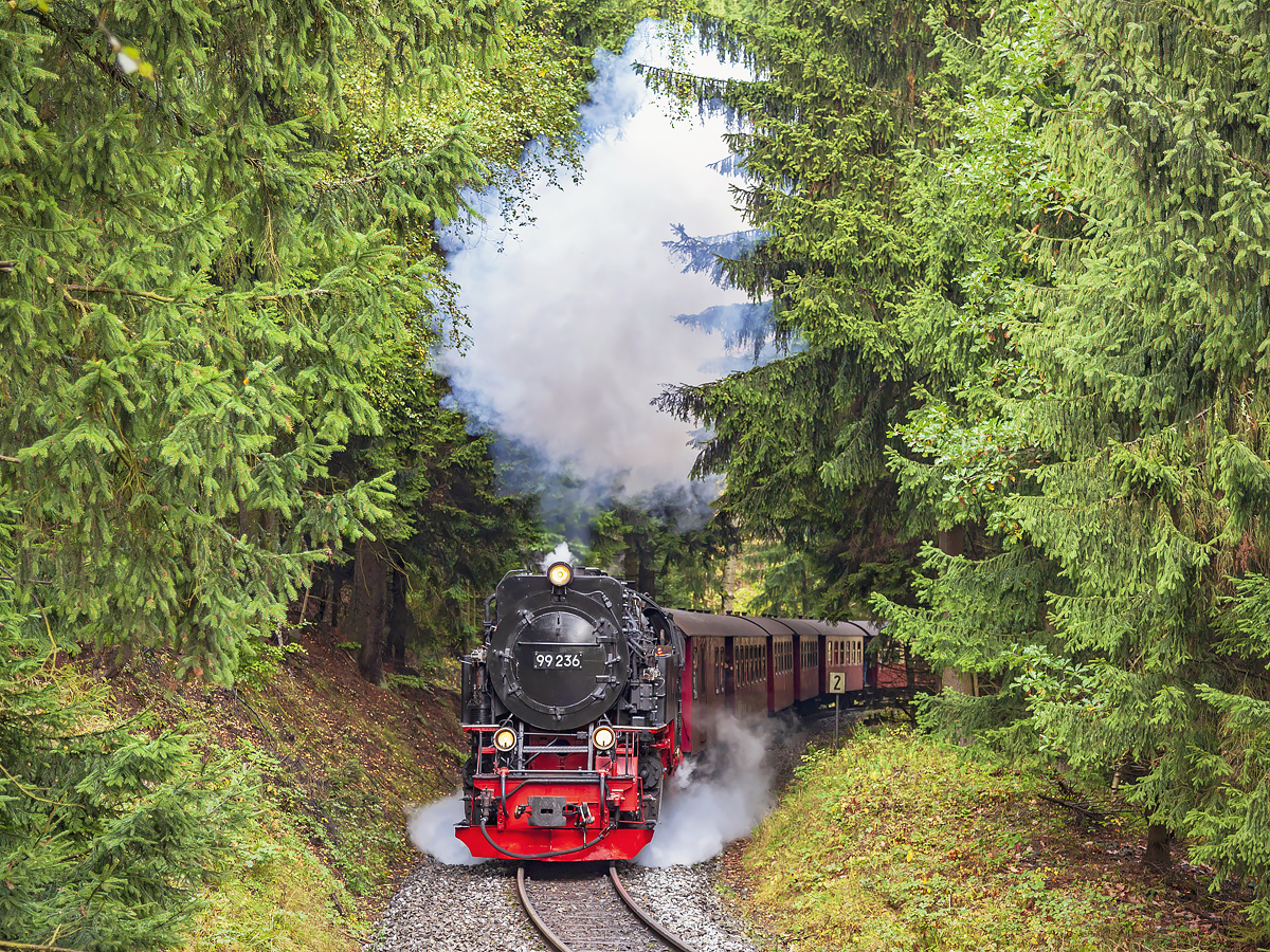 Der 99 236 mit Planzug zum Brocken zwischen Bahnhöfe Drängetal und Drei Annen Hohne am 3. Oktober 2017.