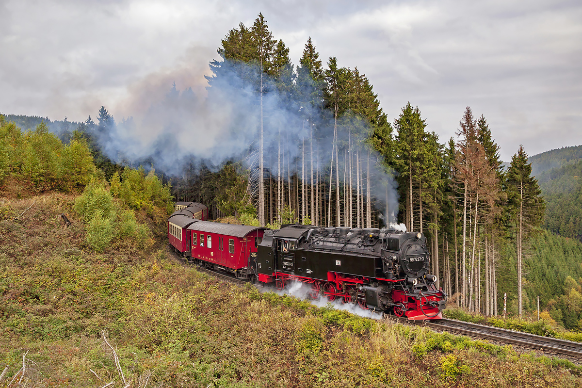 Der 99 7237-3 mit Planzug zum Brocken im die Windbruchstelle am Drängetal kurz vor Drei Annen Hohne am 3. Oktober 2017.