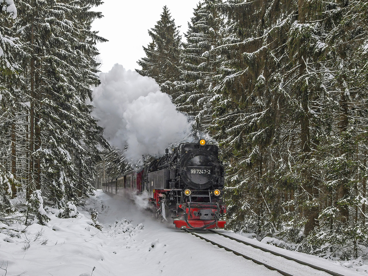 Der 99 7247-2 mit dem Planzug kurz vor Bahnhof Schierke in Richtung Brocken  am 7. Januar 2017.