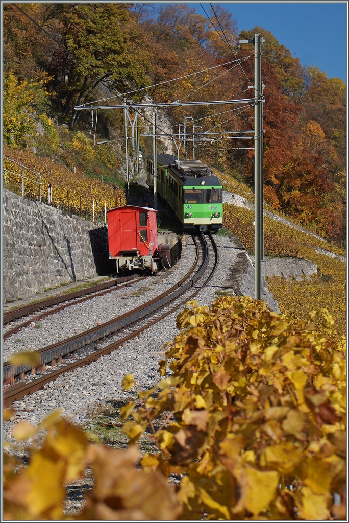 Der A-L Regionalzug 345 erreicht den kleinen Bahnhof Fontanney. 
1. Nov. 2015
