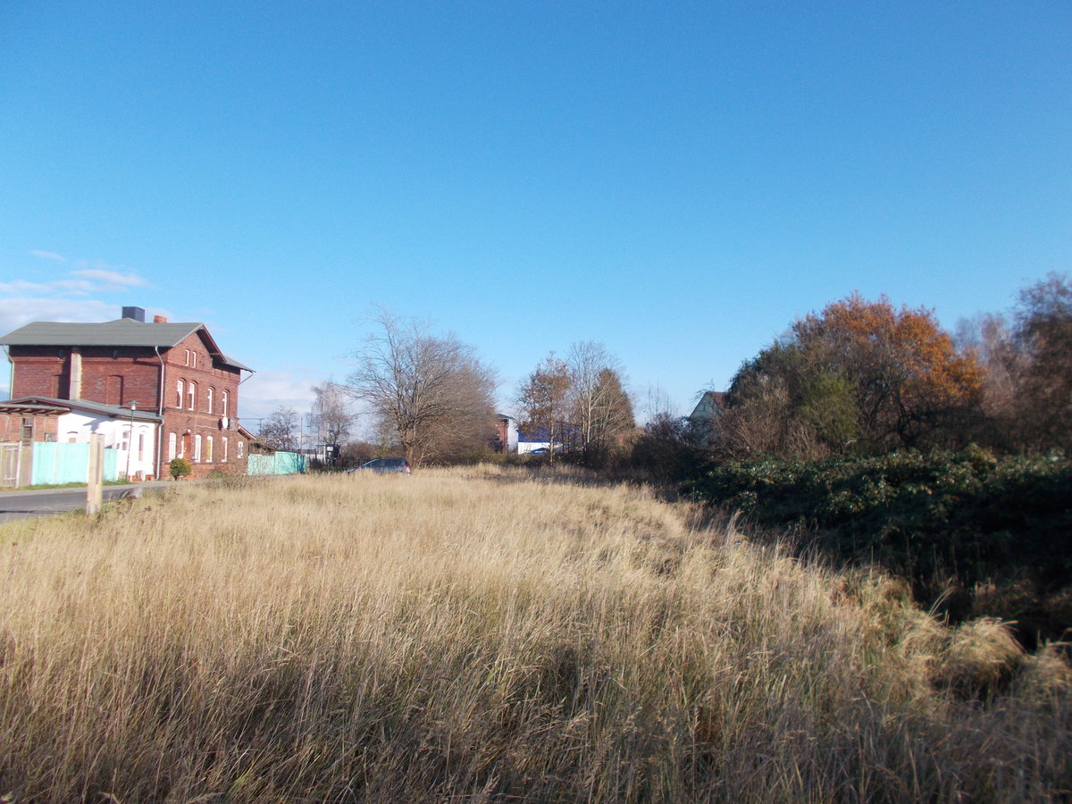 Der abgebaute,zugewachsene Bahnhofsteil in Velgast für die ehemalige Strecke nach Tribsees.Aufnahme am 11.November 2016.