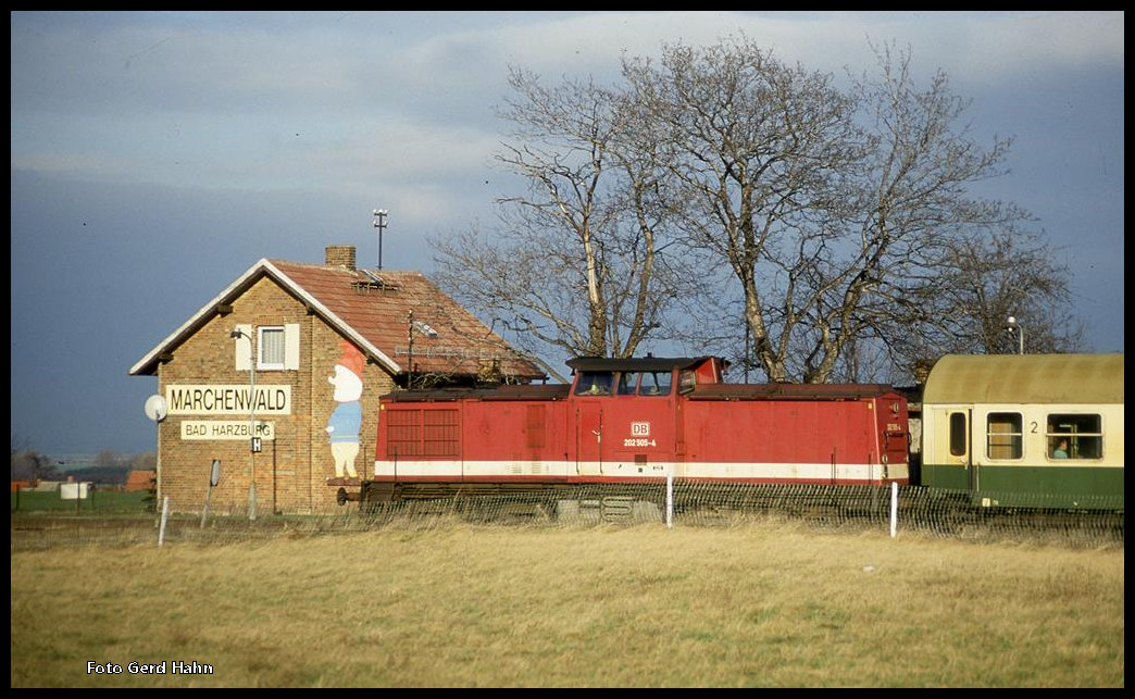Der alte Haltepunkt Stapelburg an der ehemaligen innerdeutschen Grenze wurde am 21.12.1994 noch immer von Wernigerode aus bedient. 202505 steht um 11.45 Uhr als Schlusslok am Zug. Der Zug verkehrte im  Sandwich  Verfahren. Er war also beidseitig bespannt.