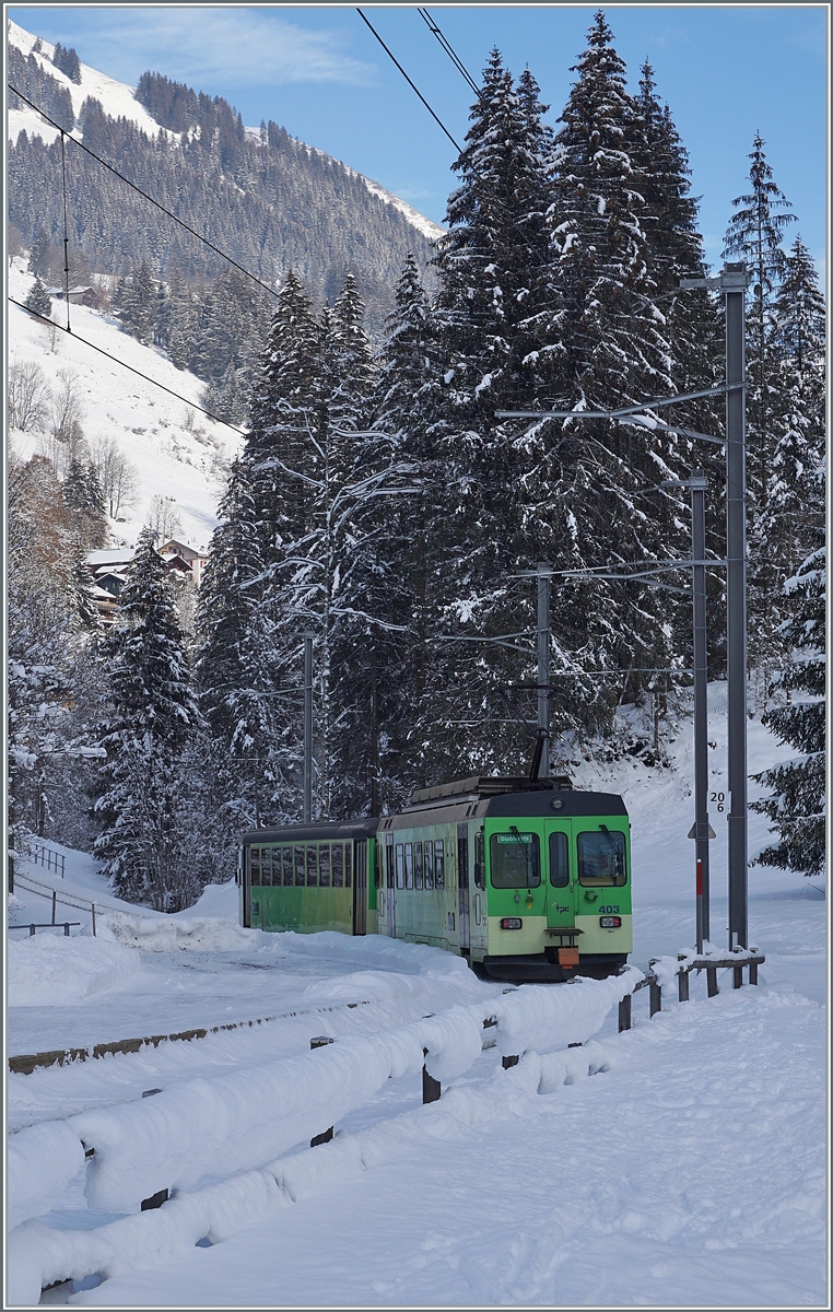 Der ASD BDe 4/4 403 mit dem führenden Bt 434 lassen den Halt Vers l'Eglise hinter sich und fahren ihrem nahen Ziel Les Diablerets entgegen. Die Wintersonne ist zur Zeit so tief, dass sie den verschneiten Talboden bei Vers l'Eglise noch nicht erreicht.

4. Januar 2021