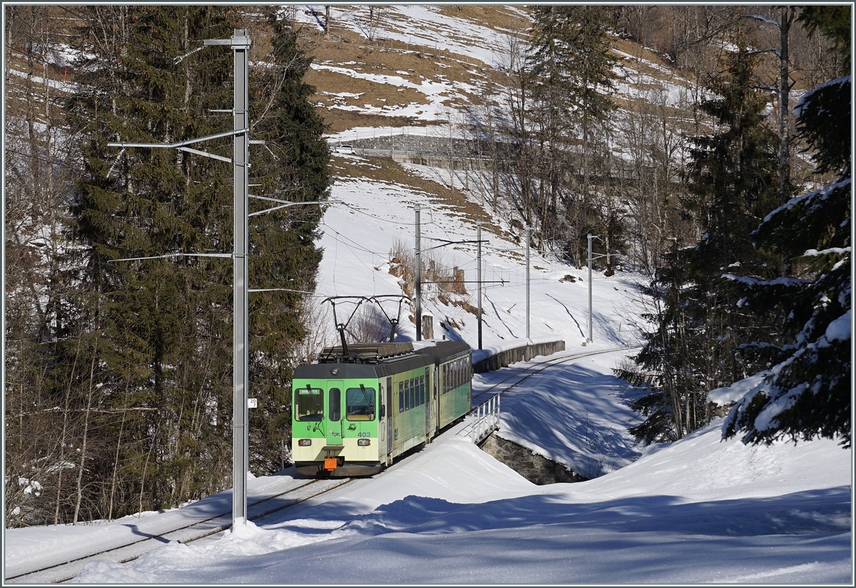 Der ASD BDe 4/4 403 mit dem führenden Bt 431 ist von Le Sépey nach Les Diablerets unterwegs und hat hier, bei Vers l'Eglise, sein Ziel schon fast erreicht. 

25. Januar 2022