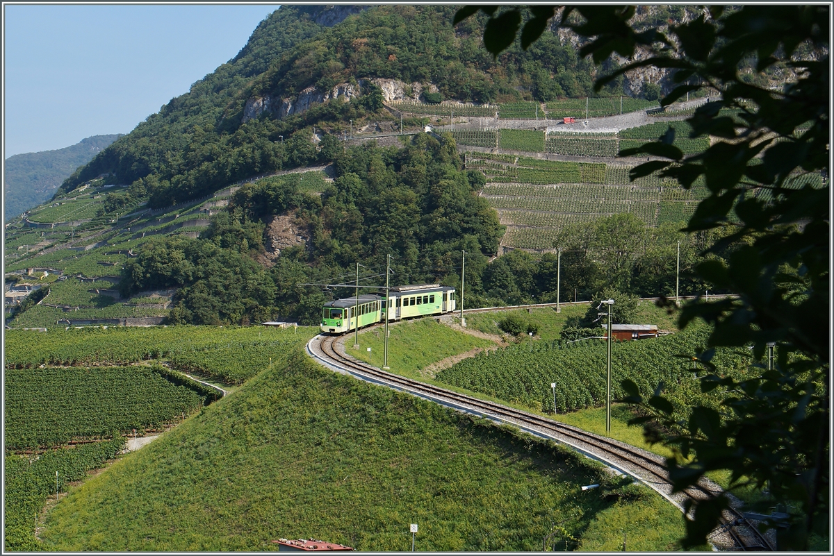 Der ASD Regionalzug 425, bestehend aus dem Bt 432 und dem BDe 4/4 402, erreicht von Les Diablerets kommend, die Weinberge oberhalb von Aigle. 
12. August 2015