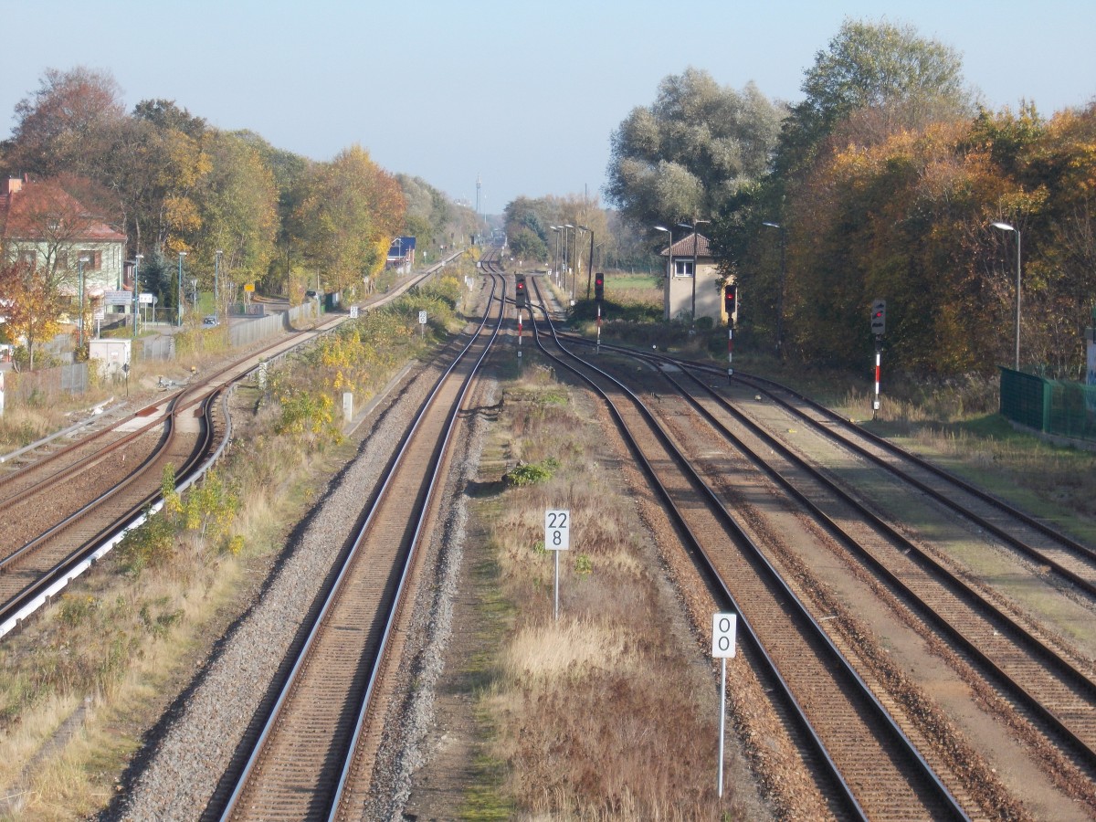 Der Ausfahrbereich in Fredersdorf Richtung Strausberg am 27.Oktober 2014.Hinter den Ausfahrsignale ist die abzweigende Anschlußstrecke zum Zementwerk Rüdersdorf zuerkennen. 