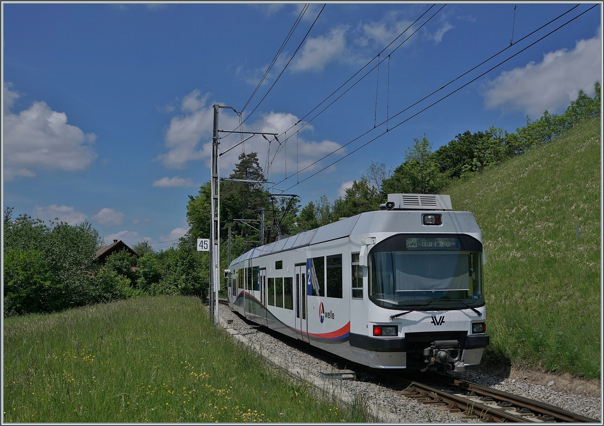 Der AVA (ex AAR) ABe 4/8 N° 29 ist in Zetzwil auf dem Weg von Menziken nach Aarau. Während von Beginn an bei der WTB/WSB/AAR/AVA  Eigentrassierung  ein Dauerthema ist und war, führt zwischen Zetzwil und Gontenschwil seit jeher das Trasse der Bahn weit von der Strasse entfernt durch eine Moränenlandschaft. 

14. Mai 2022