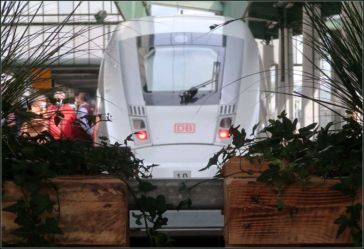 Der Bahnhof soll grüner werden - 

Pflanztröge am Geländer am Endes der Gleise. 

Stuttgart Hbf, 24.09.2020