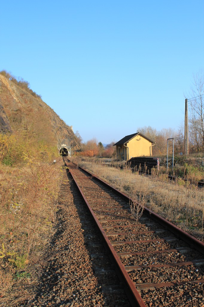 Der Bahnhof Weitenegg bei Km 38,3 an der Donauuferbahn mit dem Weitenegger Tunnel im Hintergrund befindet sich im aufgelassenen Teil der Donauuferbahn,Blickrichtung Osten,11.11.11 