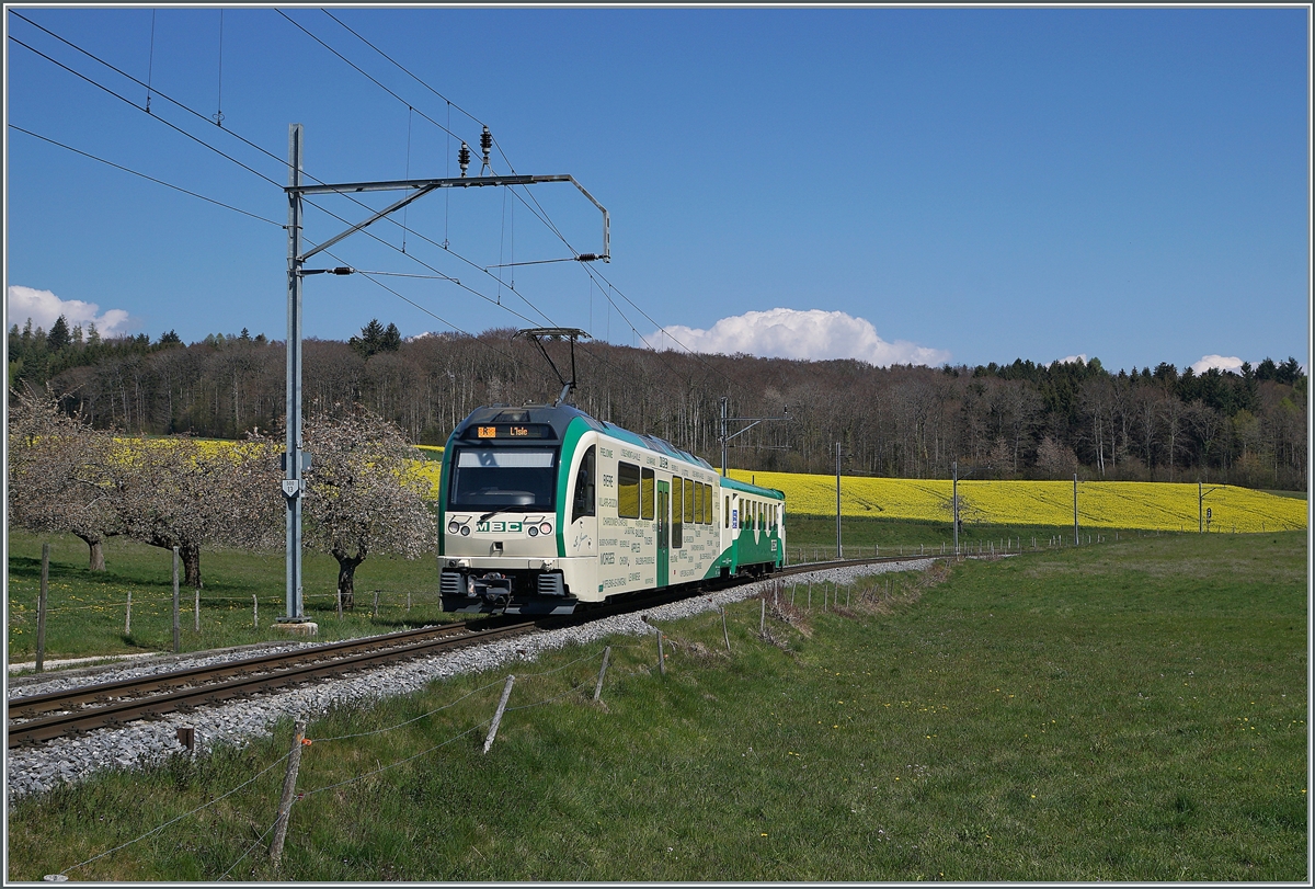 Der BAM MBC Regionalzug R 523 verlässt Apples in Richtung L'Isle an noch zaghaft blühenden Obstbäumen und schon kräftig blühenden Rapsfeldern entlang fahrend in Richtung L'Isle. 

20. April 2021