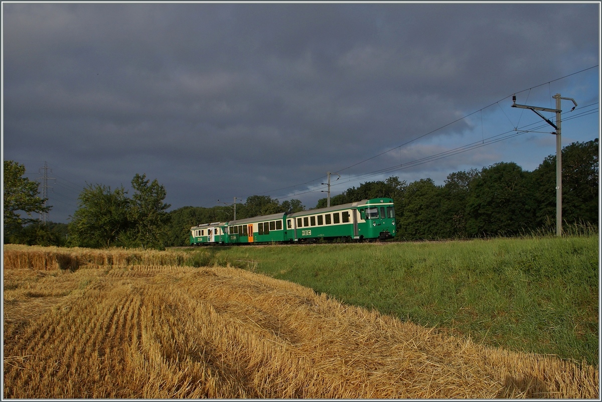 Der BAM Regionalzug 107 auf dem Weg nach Morges kurz vor Chigny. 
3. Juli 2014