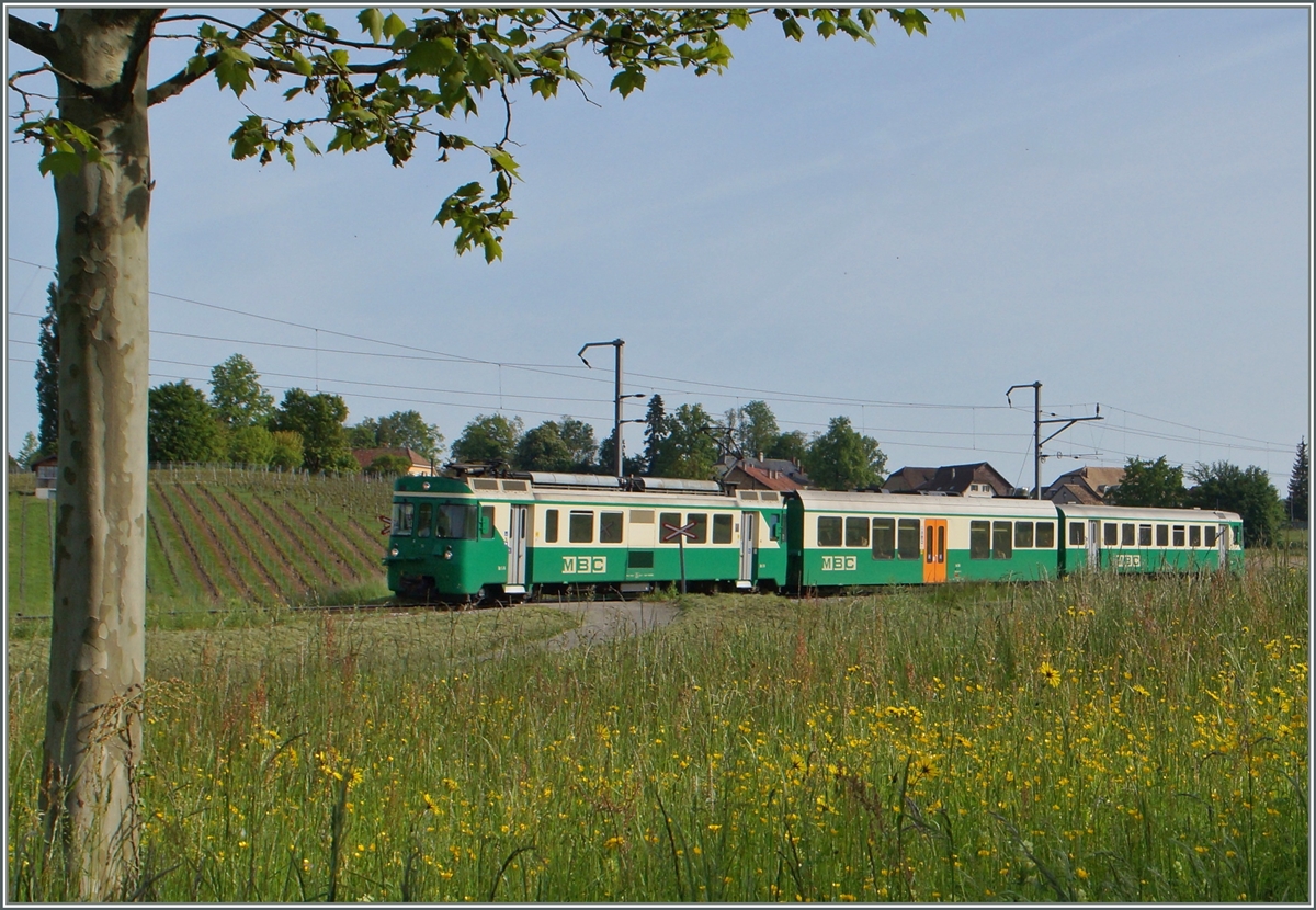 Der BAM Regionalzug 111 von Bière nach Morges kurz vor Chigny.
12. Mai 2015