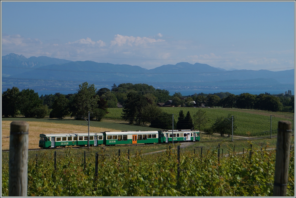 Der BAM Regionalzug 128 von Morges nach Bière kurz vor Vullens-le-Château.
16. Juni 2014
