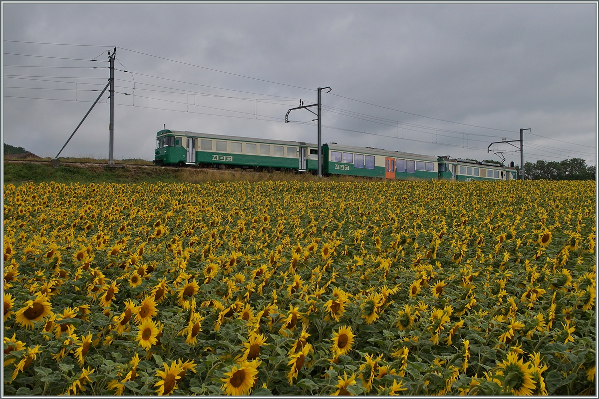 Der BAM Regionalzug N° 112 von Morges nach Bière erreicht in Kürze Yens.
3. Juli 2014