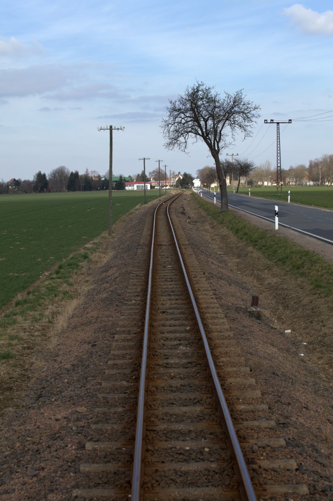  Der Baum  an der Strecke, vor Schweta.22.03.2014 14:16 Uhr.